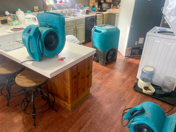 Best Ceiling water damage repair  in North Bay Shore, NY