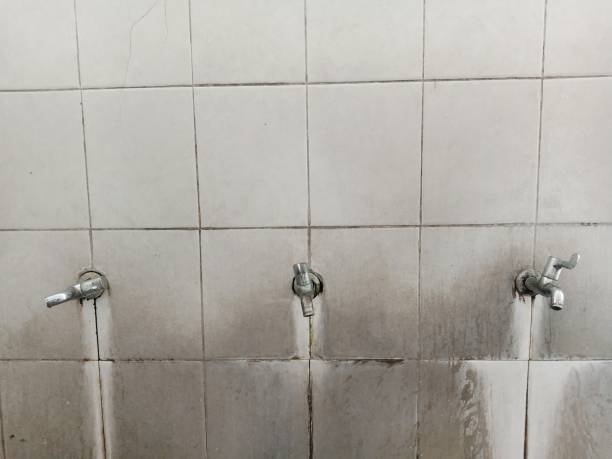 Best Carpet water damage restoration  in North Bay Shore, NY