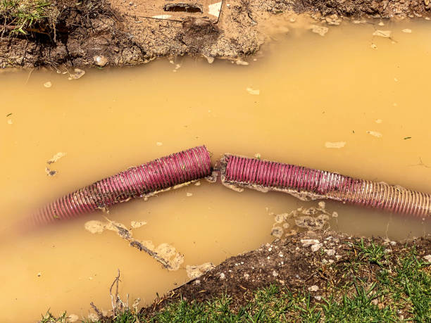 Best 24-hour water damage restoration  in North Bay Shore, NY