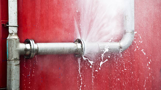 Best Flood damage cleanup  in North Bay Shore, NY